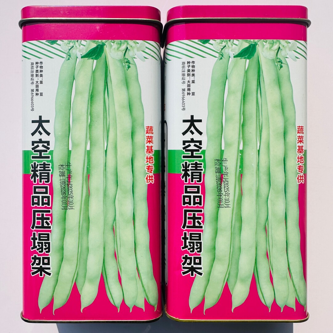 蓟宏太空精品压塌架四季豆种子嫩荚白绿色无筋耐热耐寒架豆种籽孑