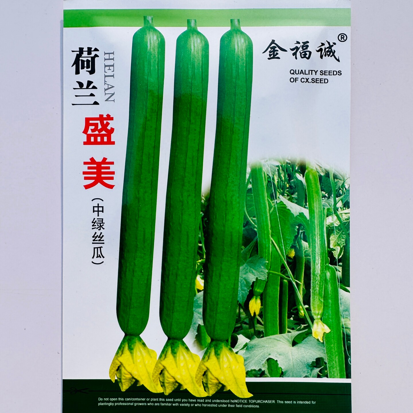 荷兰盛美中绿丝瓜种子抗病早熟高产肉质硬春秋季播种长香丝瓜种籽