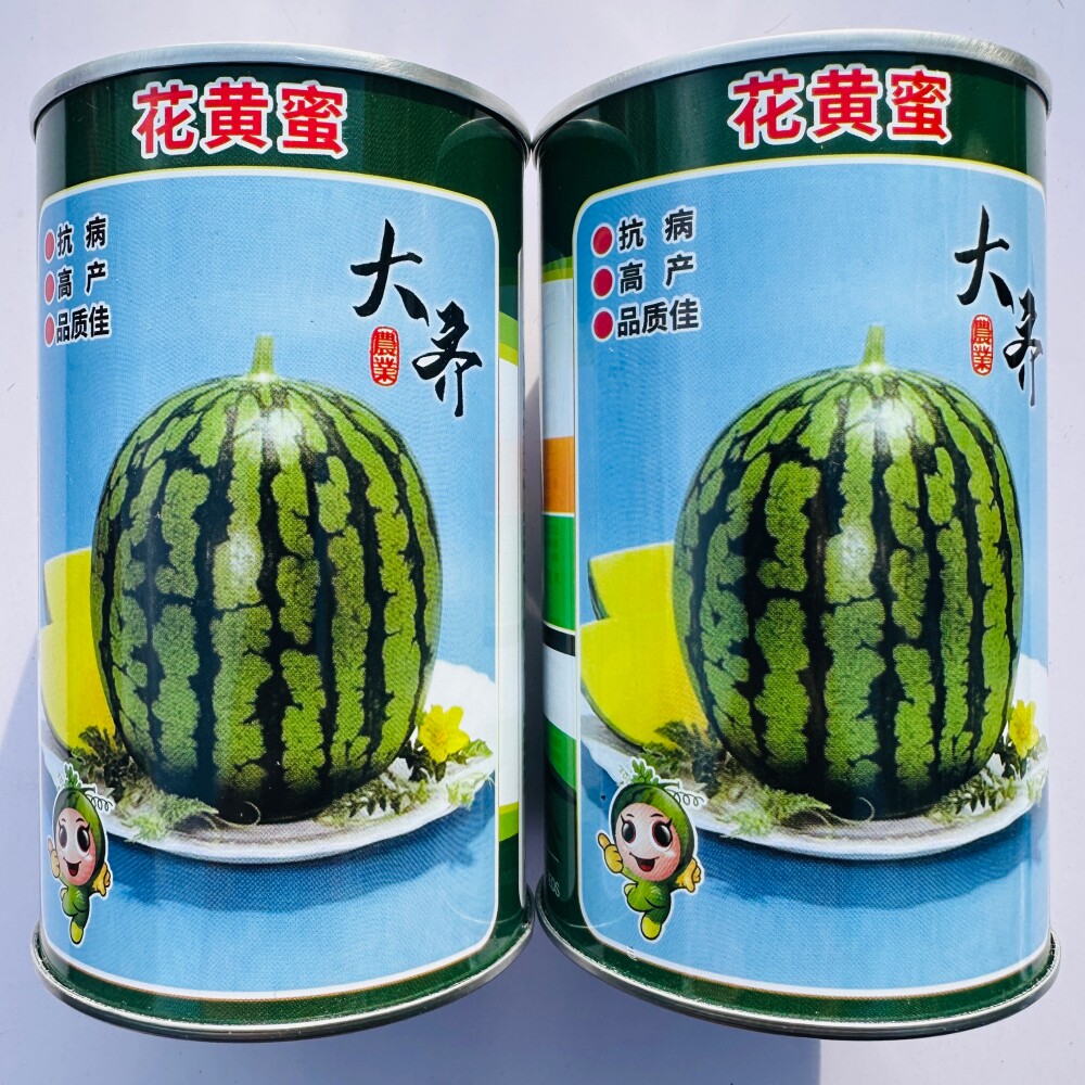 大齐花黄蜜西瓜种子抗病高产杂交早熟花皮黄瓤西瓜种籽农家春季播
