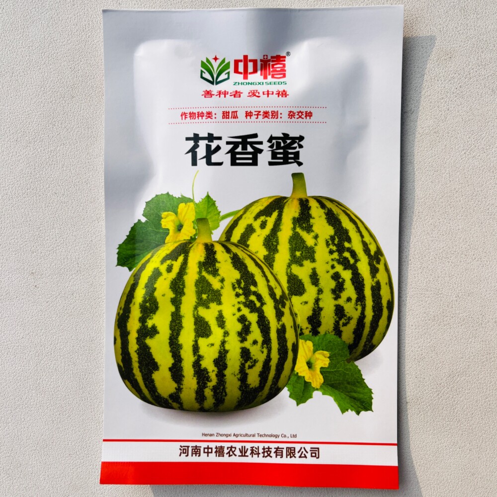 中禧花香蜜花皮甜瓜种子薄皮早熟酥脆香瓜种籽农家春秋季播水果种