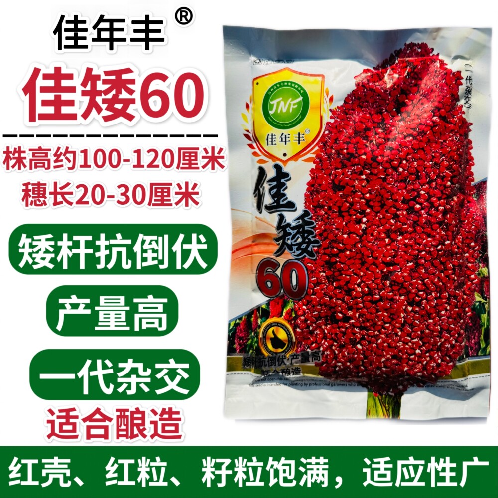 佳年丰佳矮60高粱种子抗病矮杆抗倒伏高产酿酒专用红高粱种籽种孑