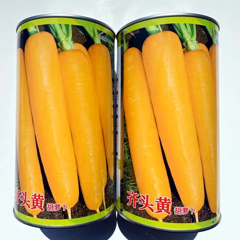 神禾种业齐头黄胡萝卜种子黄皮黄肉基地用种高产春秋播种蔬菜种籽