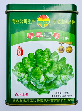 渝星早早壹号儿菜种子耐寒早熟生炒凉拌腌菜用芥菜种籽农家秋季播