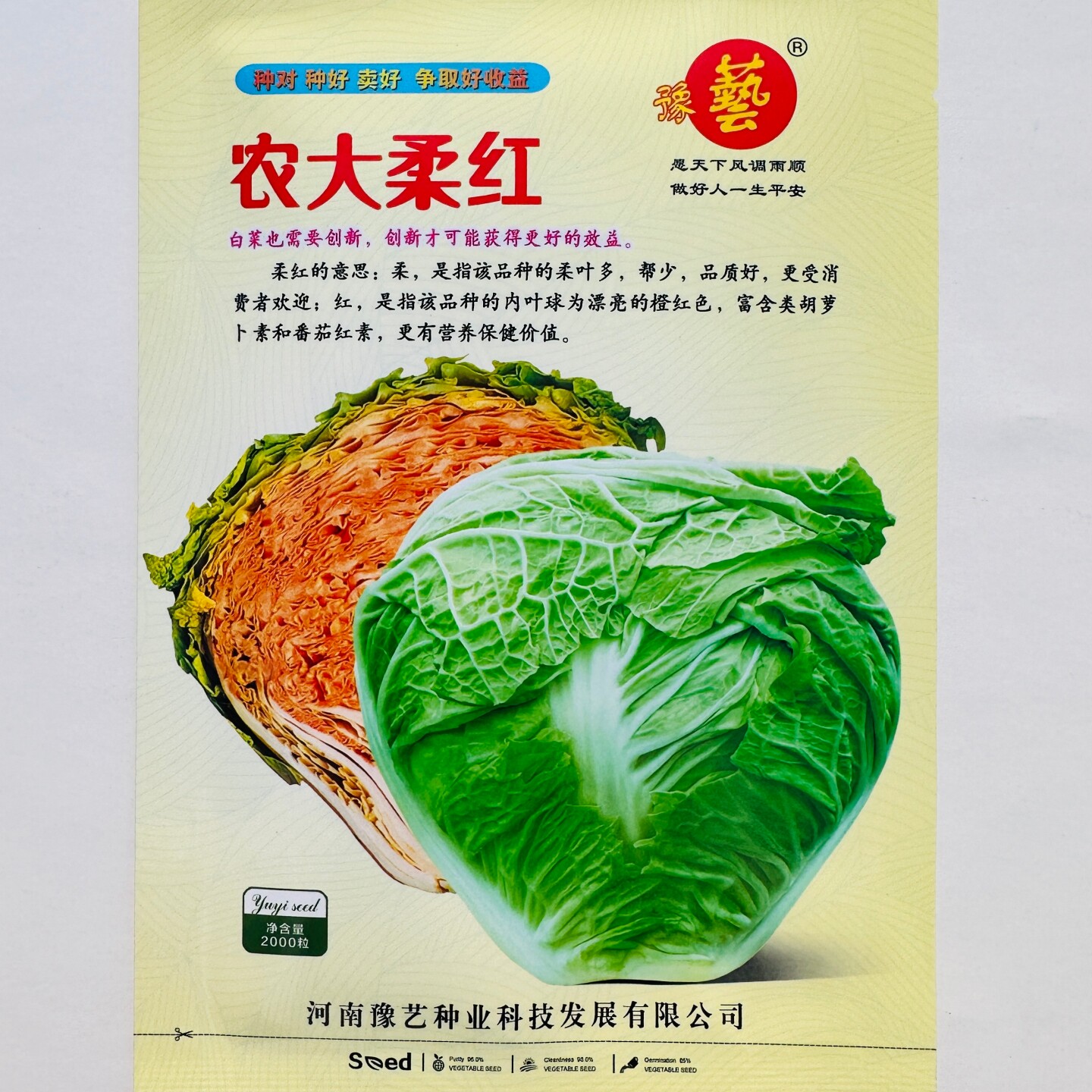 农大柔红橙红心白菜种籽抗病早熟口感好大白菜种子秋季播蔬菜种孑