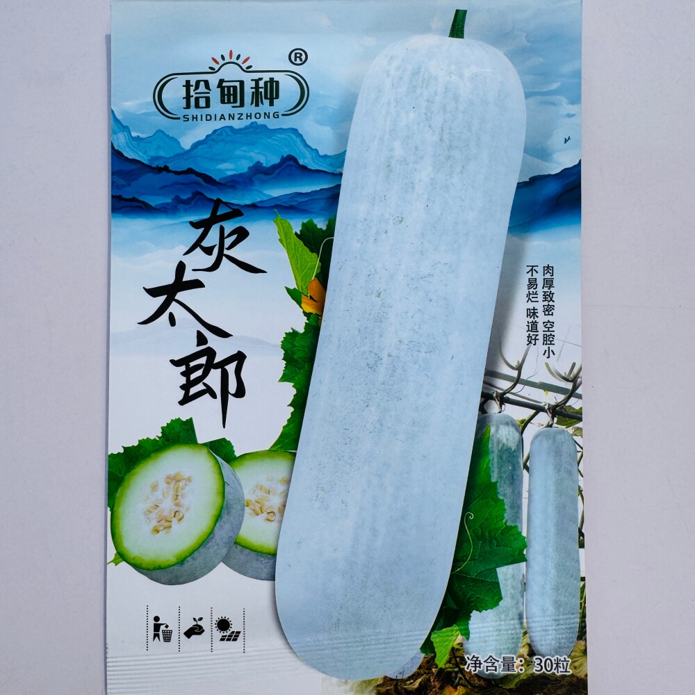 灰太郎粉皮大冬瓜种子肉厚致密空腔小杂交冬瓜种籽农家春季播种孑