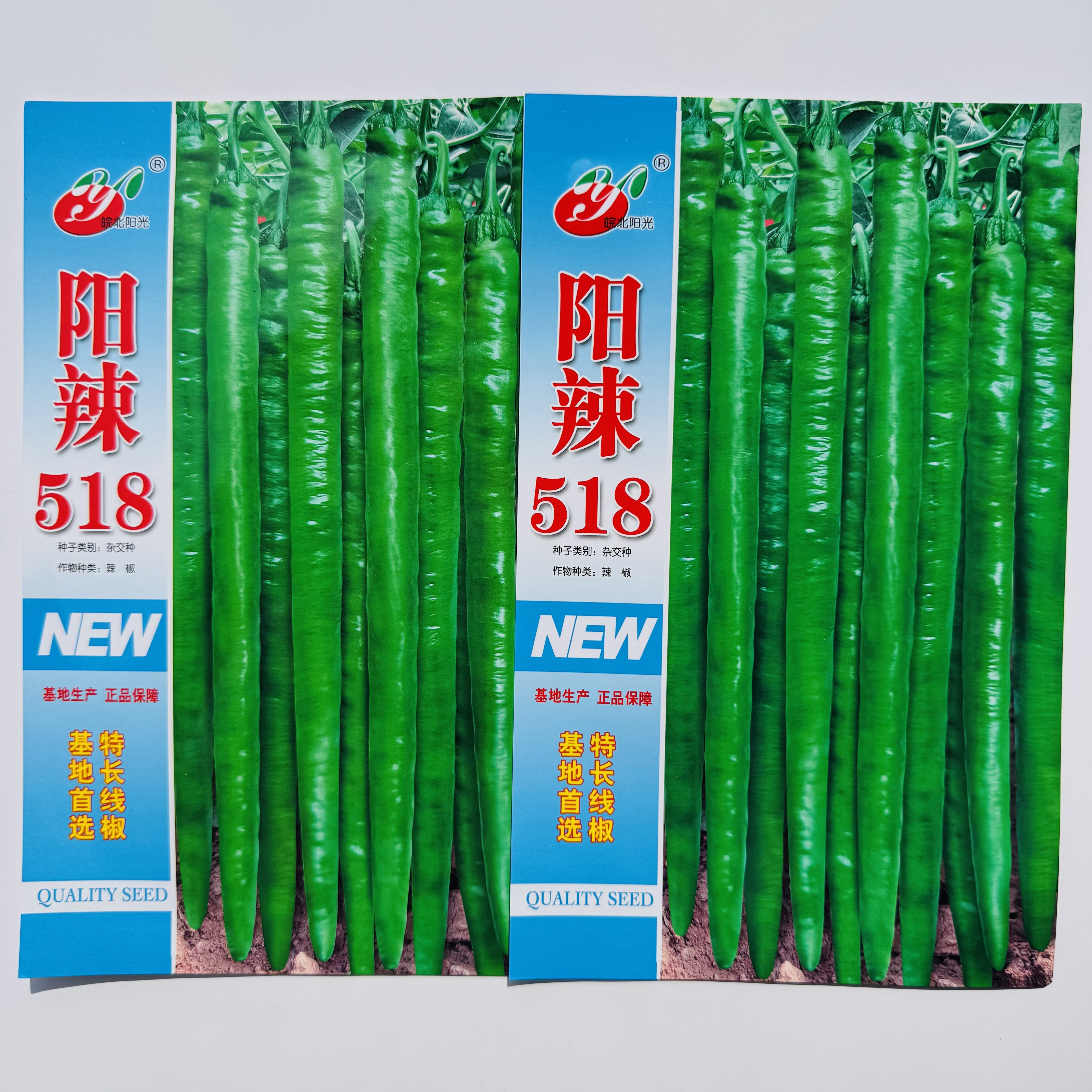 阳辣518特产线椒种子抗病杂交香辣早中熟辣椒种籽农家春秋季播种
