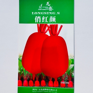 龙盛俏红颜红萝卜种子红皮白心肉质细嫩清脆萝卜种籽农家秋季播种