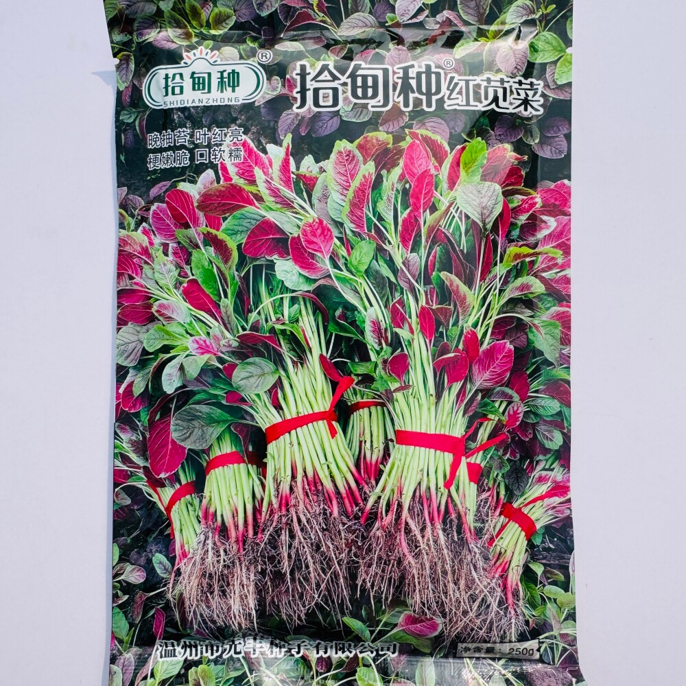 拾甸种红苋菜种子耐热耐抽苔高产口感好苋菜种籽农家春秋季播种孑