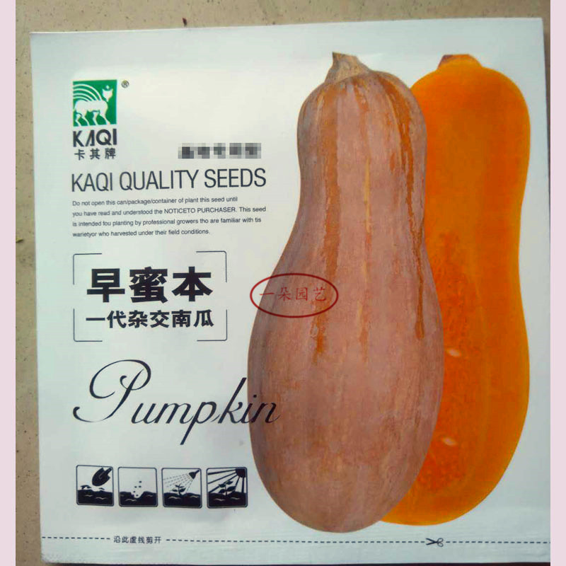 春秋播早蜜本南瓜种籽早熟高产抗病春秋种植甜农家蜜本南瓜种