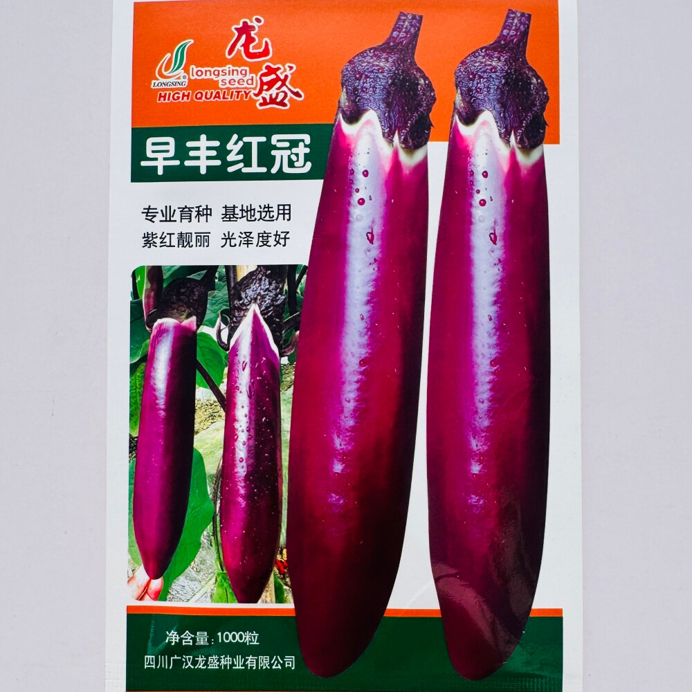 龙盛早丰红冠杂交川红茄种子紫红皮白肉长棒形茄子种籽春夏秋季播