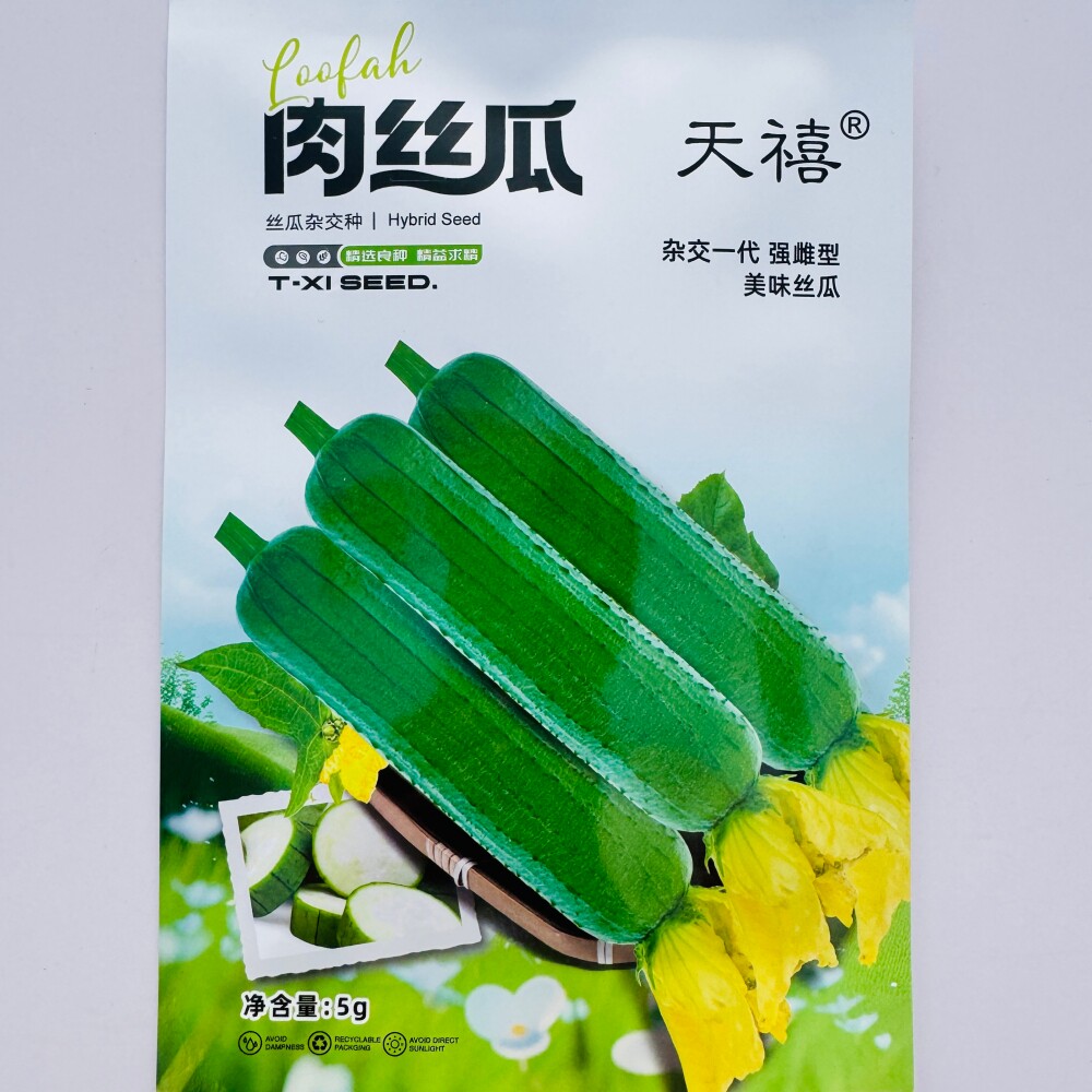 天禧肉丝瓜种子杂交一代强雌型美味丝瓜种籽农家春夏秋季播蔬菜种