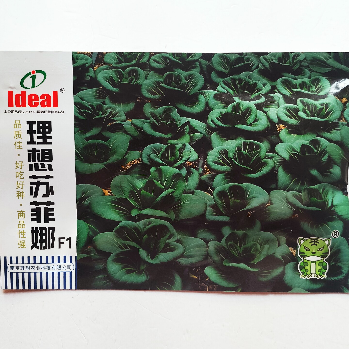 理想苏菲娜青菜种子杂交苏州青种籽太湖菜籽深绿耐寒矮脚