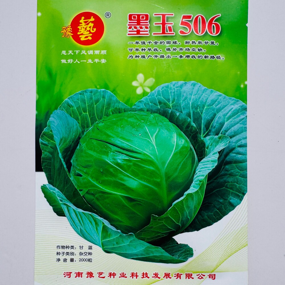 豫艺墨玉506甘蓝种子 早熟耐热圆包菜莲花白秋甘蓝种籽原装2000粒