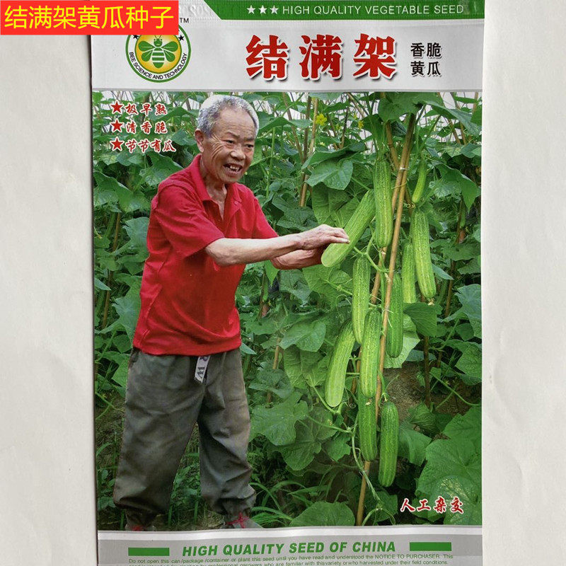 早熟黄瓜种子结满架黄瓜种子燕白型黄瓜种子节节黄瓜种子20粒