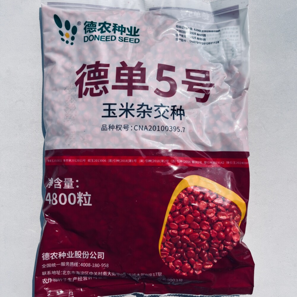 德农种业德单5号黄玉米种子4800粒抗病杂交大棒饲料玉米种籽夏播