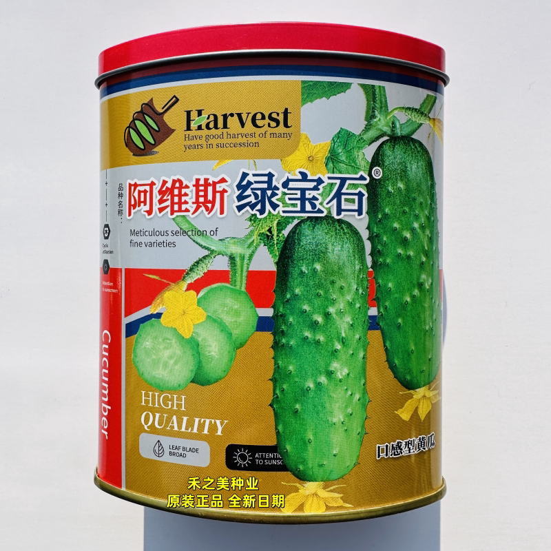 蓟农绿宝石水果黄瓜种子口感好早熟高产抗病农家春秋播种精选瓜种