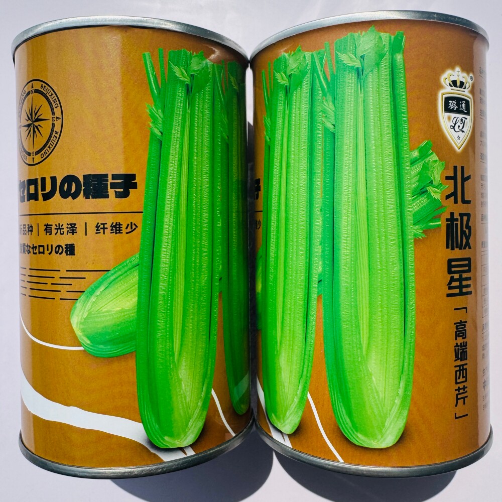 璐通北极星西芹种子早熟耐抽苔商品性好芹菜种籽春秋季播蔬菜种孑