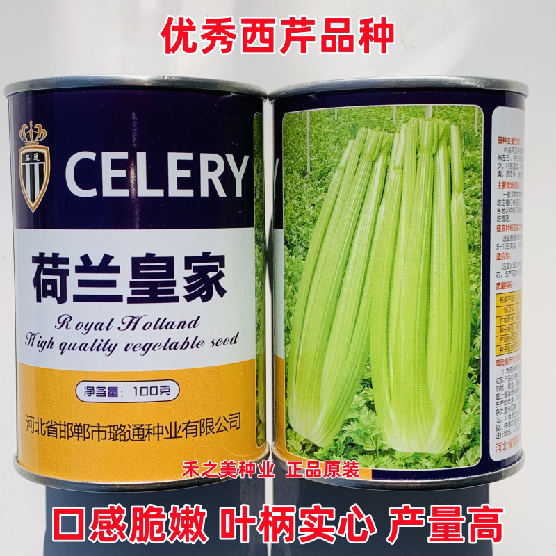 璐通芹菜种子皇家西芹种子实心芹芹菜种籽耐热耐寒四季蔬菜籽
