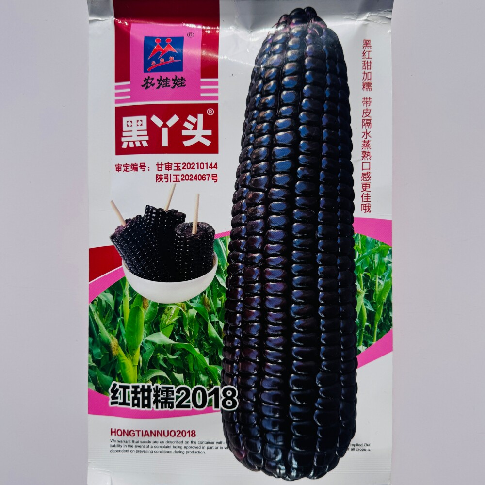 农娃娃黑丫头黑玉米种子红甜糯2018黑甜加糯玉米种籽农家春季播种