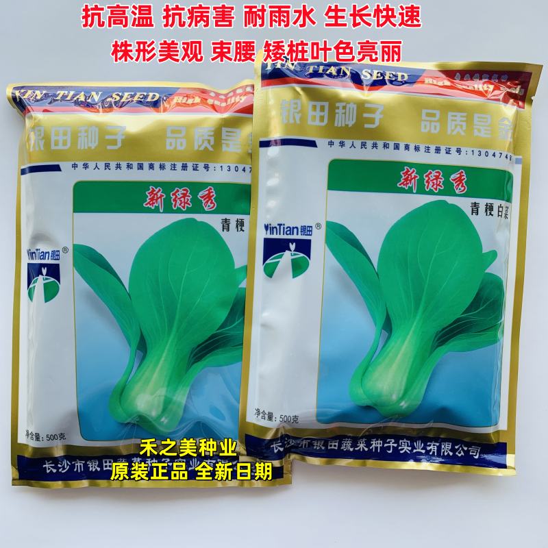 新绿秀青梗菜子高产青菜种子抗高温抗病害四季蔬菜种子大田基地播