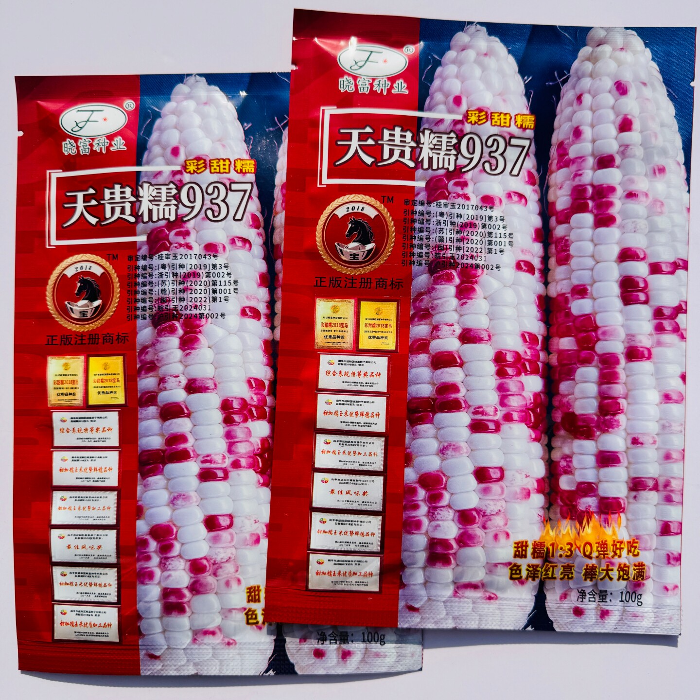 晓富2018宝马天贵糯937甜糯玉米种子 大棒彩糯粘玉米种籽大田用种