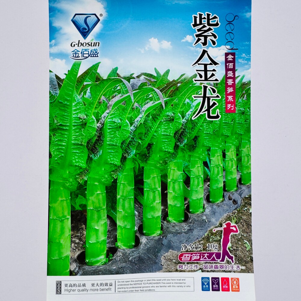 金佰盛紫金龙莴笋种子浅绿皮肉脆嫩莴苣菜种籽农家春秋冬季播种孑