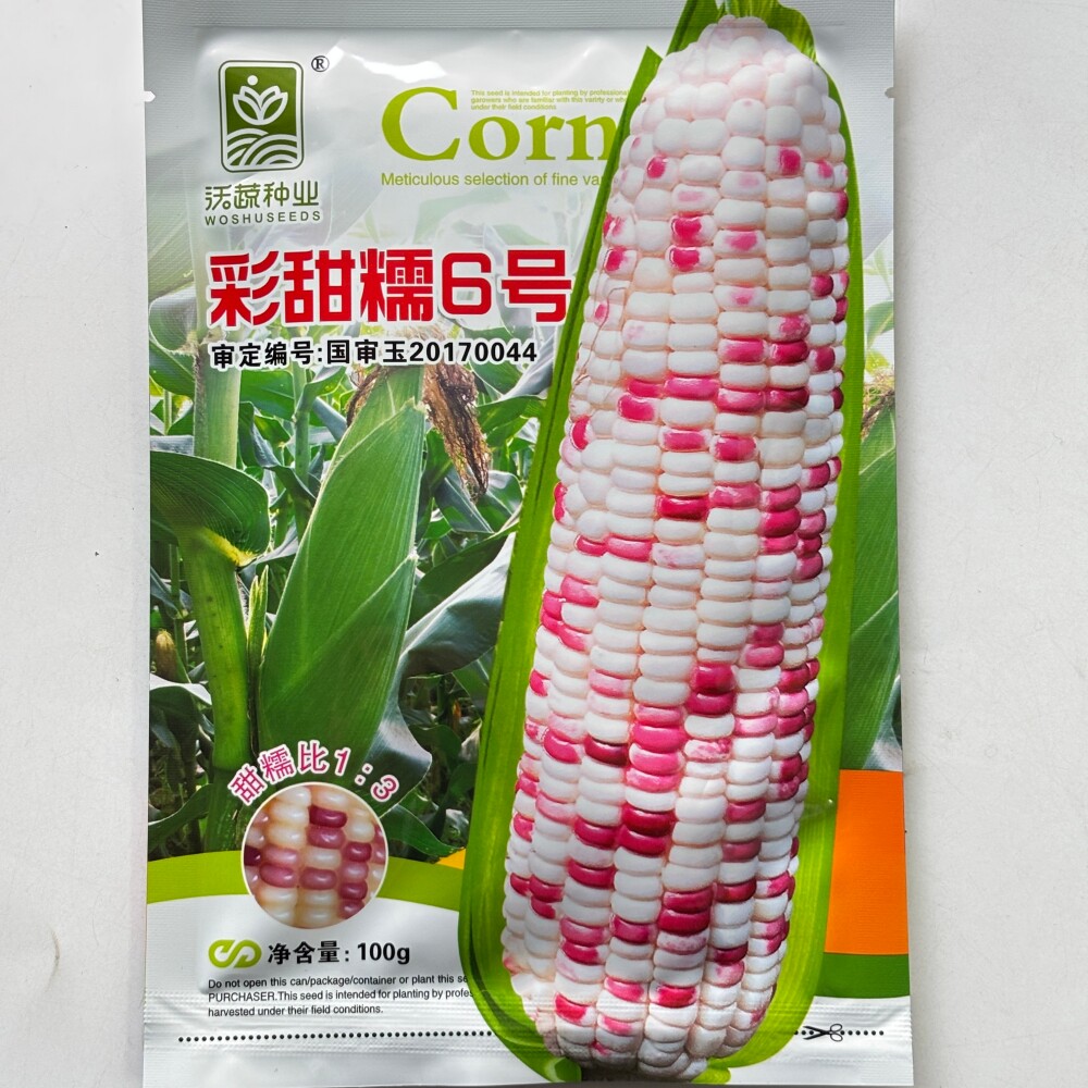 沃蔬彩甜糯6号甜加糯玉米种子甜糯1比3彩糯玉米种籽农家春秋季播