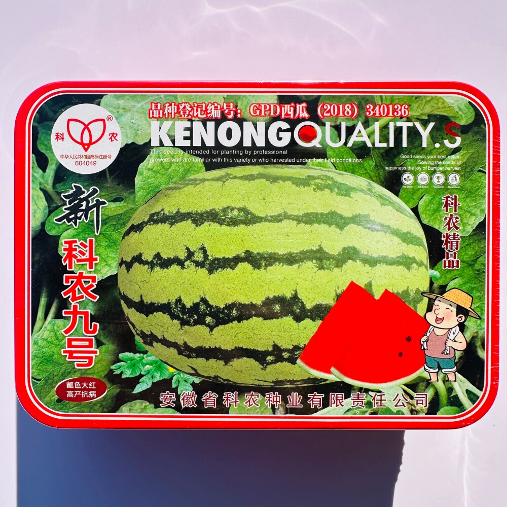 新科农九号西瓜种子抗病高产中晚熟杂交鲜食花皮红瓤西瓜种籽种孑