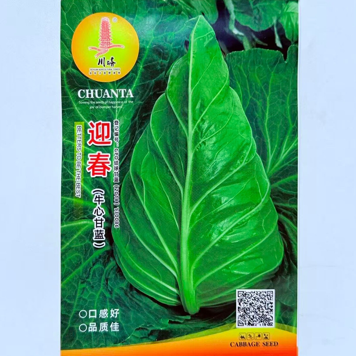 川塔迎春牛心甘蓝种子杂交中熟口感好卷心菜包头菜种籽春秋越冬播
