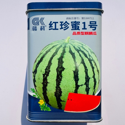 赣科红珍蜜1号西瓜种子抗病耐重茬品质型麒麟瓜种籽大田基地播种