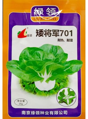 绿领矮将军701矮脚黄种子耐热耐湿高温青菜白梗小白菜油菜籽20克