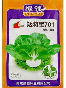 绿领矮将军701矮脚黄种子耐热耐湿高温青菜白梗小白菜油菜籽20克