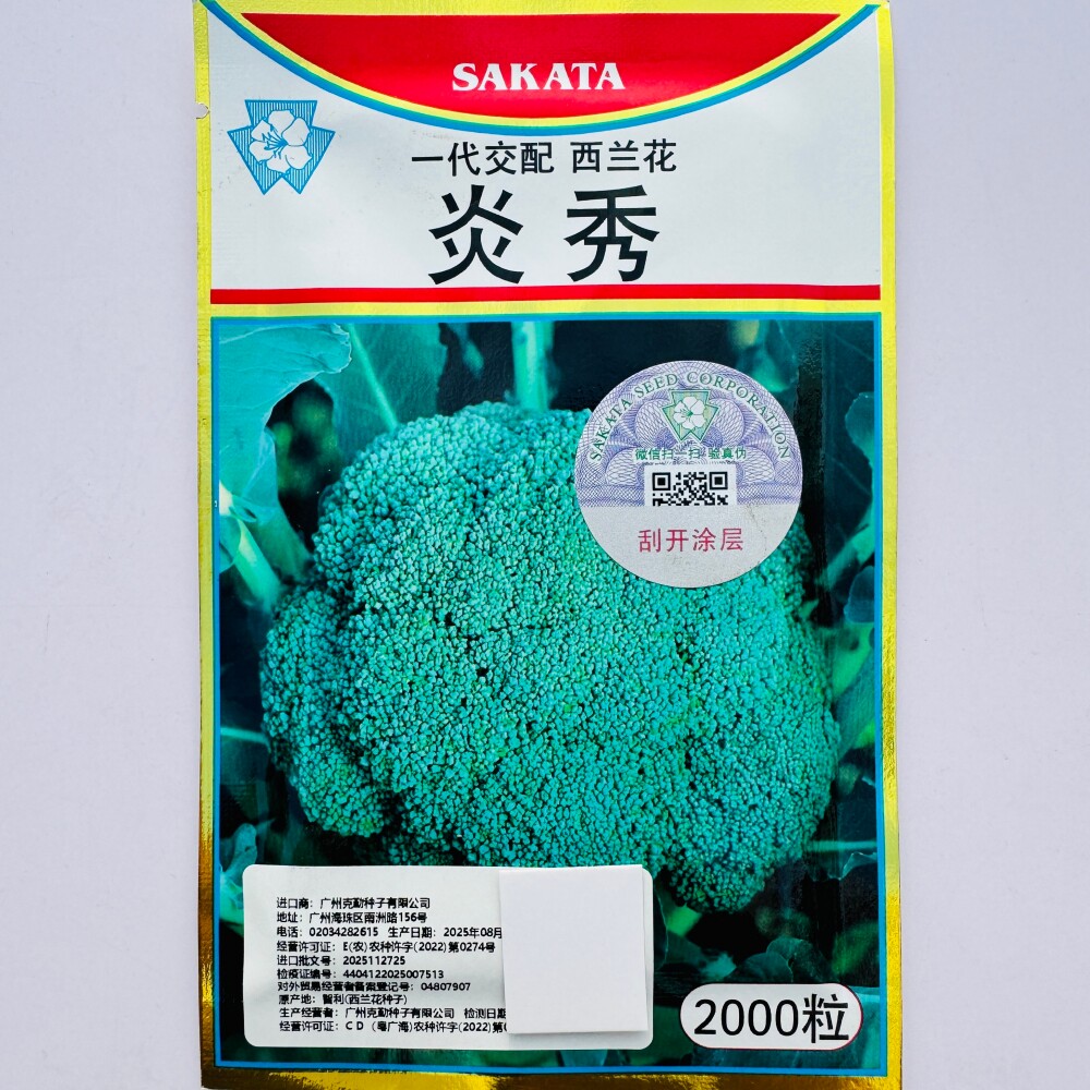 优质杂交炎秀西兰花种子耐热高产西蓝花菜花春秋季蔬菜种孑苗秧