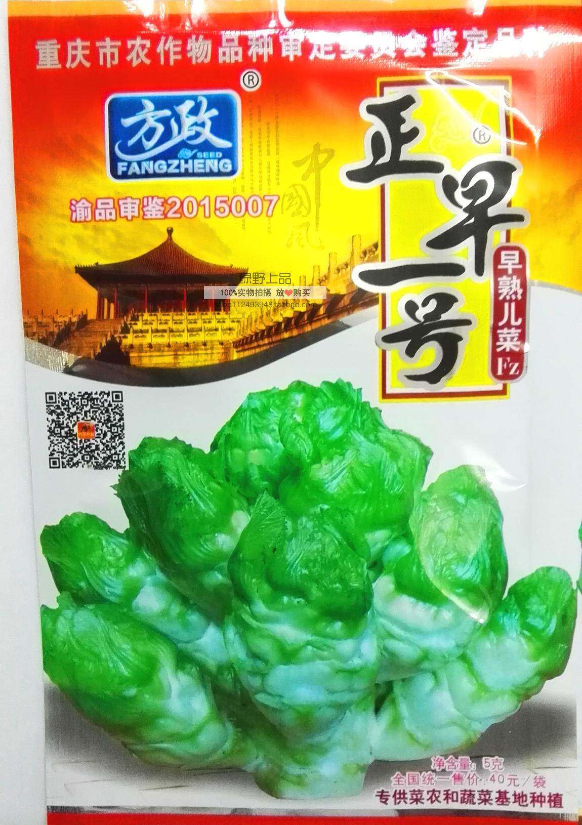 春秋播极早熟儿菜种子 正早一号儿菜早娃娃 60-98天上市