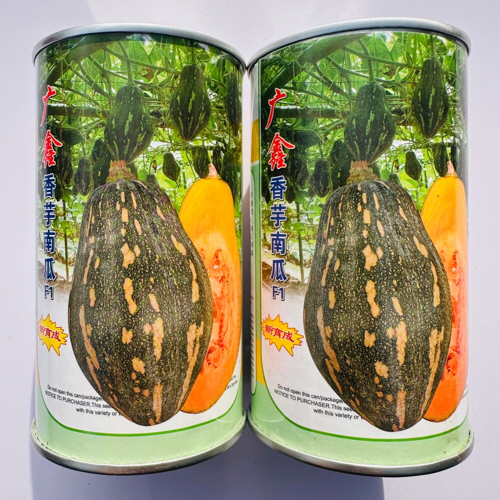 广鑫香芋南瓜种子杂交中早熟粉糯香甜南瓜种籽农家春秋季蔬菜种孑