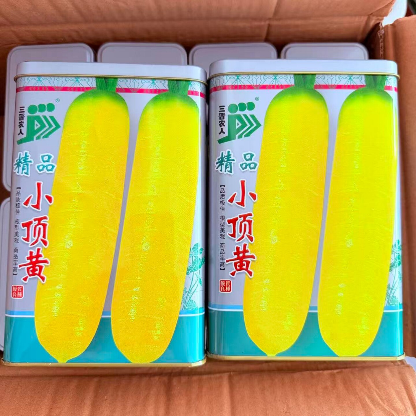 精品小顶黄胡萝卜种子生吃脆甜水果萝卜种籽齐头黄高产优质蔬菜种