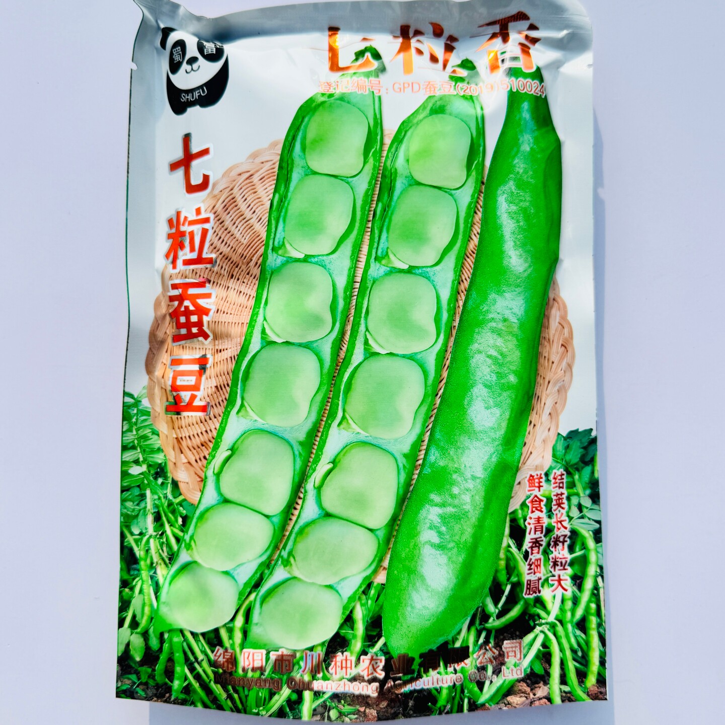 七粒香蚕豆种子中熟鲜食加工两用胡豆种籽农家春秋季播种蔬菜种孑