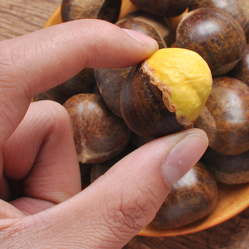 龙虎山天师板栗生新鲜鹰潭特产