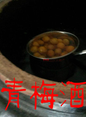 低度酒青梅酒梅子酒梅酒水果酒