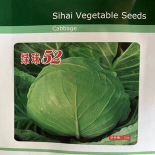 绿球52甘蓝种子早熟甘蓝耐裂球耐抽薹春秋播蔬菜种子洋白菜种子
