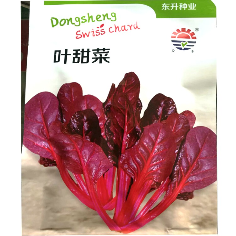 红叶甜菜种子全红叶可食用春秋种植蔬菜种子阳台盆栽蔬菜含花青素