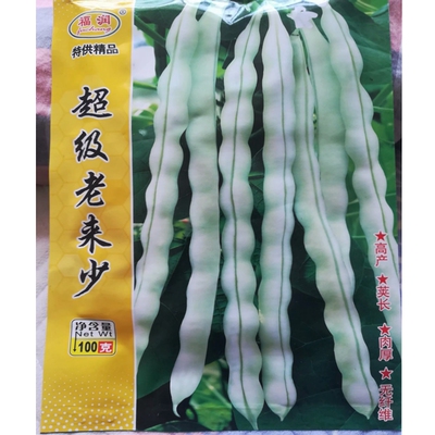 老品种种子架芸豆豆角