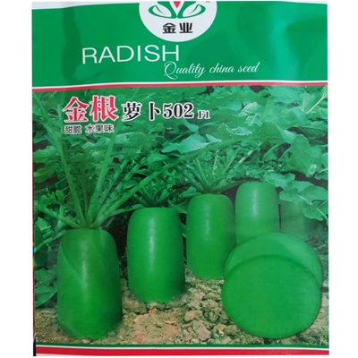 甜脆高产抗病水果萝卜种子