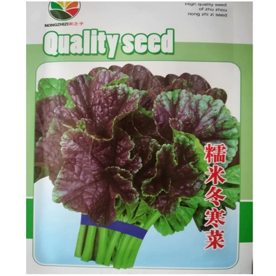糯米冬寒菜种子温度越低耐热