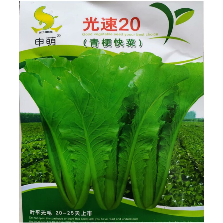 小白菜种子四季蔬菜种子