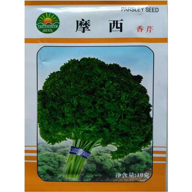 摩西芹菜种子香芹种子欧芹种子阳台盆栽蔬菜观赏食用均可