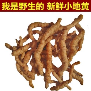 河南焦作太行山野生新鲜地黄地髓生地黄打汁中药材500g