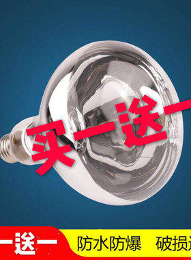 275w100防水防爆壁挂浴霸灯泡