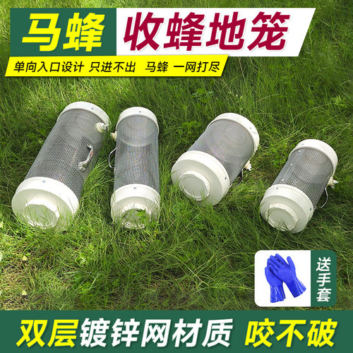 红娘虎头蜂马蜂笼捉马蜂地蜂笼