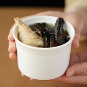 许氏醇品野生赤灵芝正宗深山天然整朵整枝整颗养生茶泡水泡酒煲汤